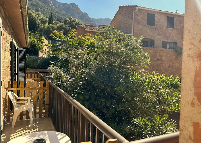 Hôtel accueillant les animaux: Bon Accueil
